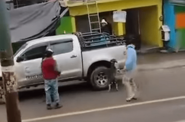 Maltrato animal en Chapulhuacán