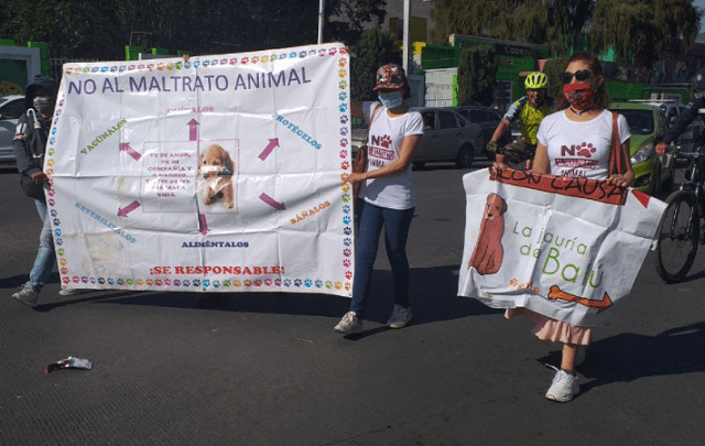 Protesta contra maltrato animal en Pachuca