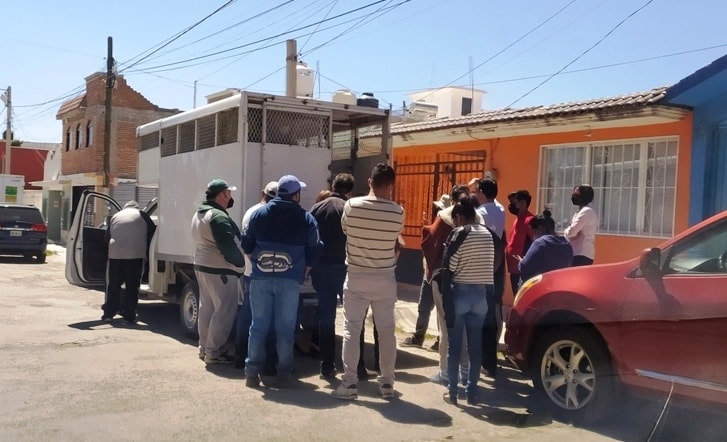 Activista intenta evitar que control canino se lleve a perritos