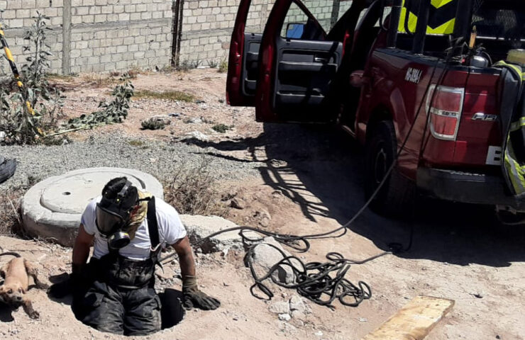 Bomberos rescatan a lomito en Pachuca