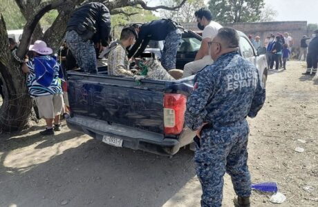 Intentan linchar a dueños de perros que mataron a mujer