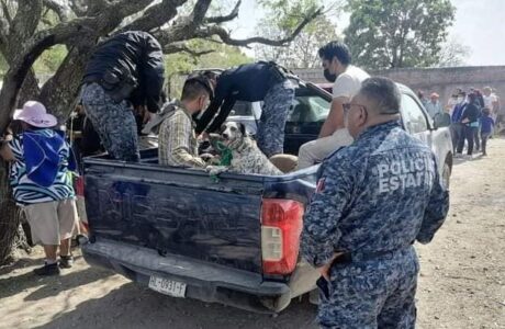 Jauría de perros mata a mujer en Ajacuba