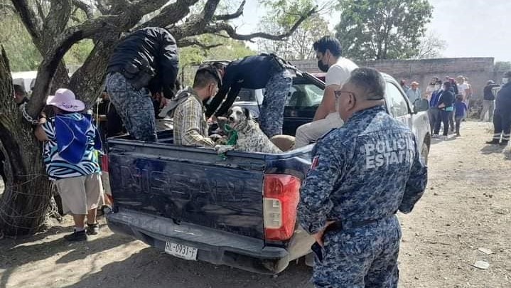 Jauría de perros mata a mujer en Ajacuba